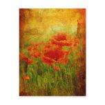 Red poppies vintage post cards