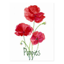 Red Poppies - Watercolor Post Cards