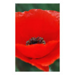 Red poppy and meaning custom stationery