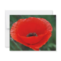 Red poppy and meaning personalized invites