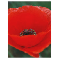 Red poppy and meaning personalized letterhead