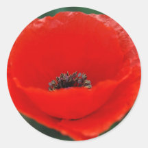 Red poppy and meaning stickers