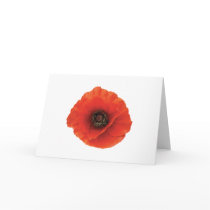 Red Poppy Greeting Card