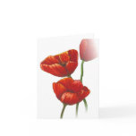 Red poppy card
