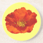 Red Poppy Coaster