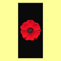 red poppy rack cards