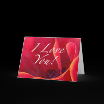 Red Poppy Flower Love Greetings cards