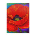 Red Poppy Flower Painting - Multi postcards by JUDERM Red Poppy Flower Painting - Multi postcards