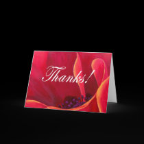 Red Poppy Flower Painting with Thank You cards by JUDERM Red Poppy Flower Painting with Thank You cards