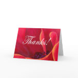 Red Poppy Flower Painting with Thank You