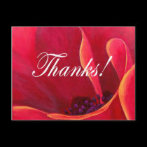 Red Poppy Flower Painting with Thank You postcards by JUDERM Red Poppy Flower Painting with Thank You postcards