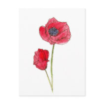 Red Poppy Flower Watercolor Botanical Art Post Cards