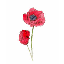Red Poppy Flower Watercolor Botanical Art T Shirts