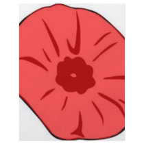 Red Poppy Flyers