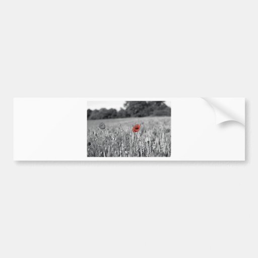 red poppy in a black and white field bumper stickers