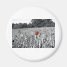 red poppy in a black and white field refrigerator magnet