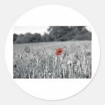 red poppy in a black and white field stickers
