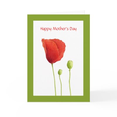 Red Poppy Mother's Day Card by floatinglemons