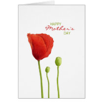 Red Poppy Mother's Day Card cards