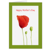 Red Poppy Mother's Day Card cards