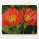 Red Poppy Mousepad