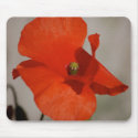 Red Poppy Mousepad