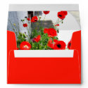 Red poppy photo envelope