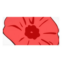 Red Poppy photo cards by pollop Red Poppy photo cards