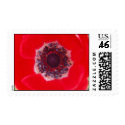 Red Poppy postage by ajholman33 Red Poppy postage