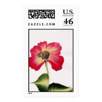 RED POPPY postage by anaisacolon RED POPPY postage