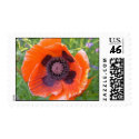 Red poppy postage stamp