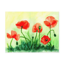 Red poppy post cards