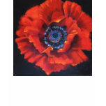 Red Poppy Tee Shirt