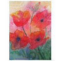 Red Poppy Tee Shirt