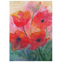 Red Poppy Tee Shirt