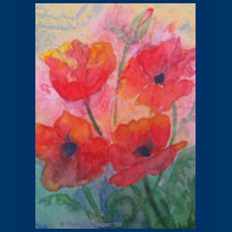 Red Poppy Tee Shirt