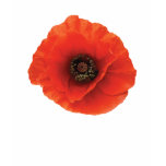 Red Poppy T Shirt