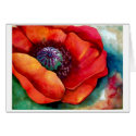 Red Poppy Up Close by Barbara Beck-Azar cards by rasama Red Poppy Up Close by Barbara Beck-Azar cards