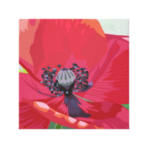 Red Poppy Wrapped Canvas canvas prints
