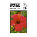 Red Portugal Hibiscus postage