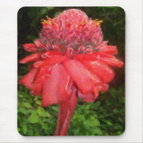 Red Poser mousepads