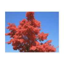 Red postcards by niteangel Red postcards