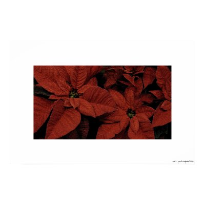 red print by emoticant