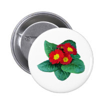 Red Primroses buttons