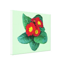 Red Primroses canvas prints