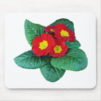 Red Primroses mousepads