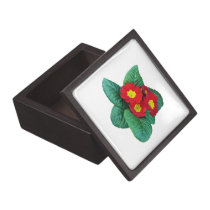 Red Primroses premium gift boxes