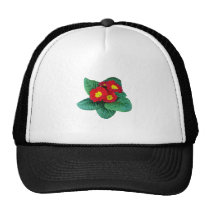 Red Primroses hats