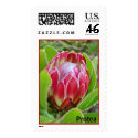 Red Protea, Protea postage