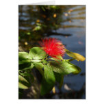 Red Puff Card